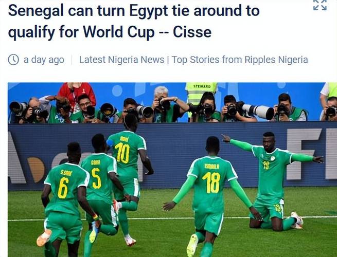 埃及对塞内加尔主场在哪